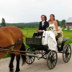 De första gästerna